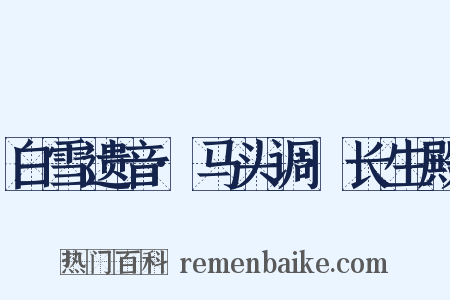 白雪遗音·马头调·长生殿是什么意思的图片